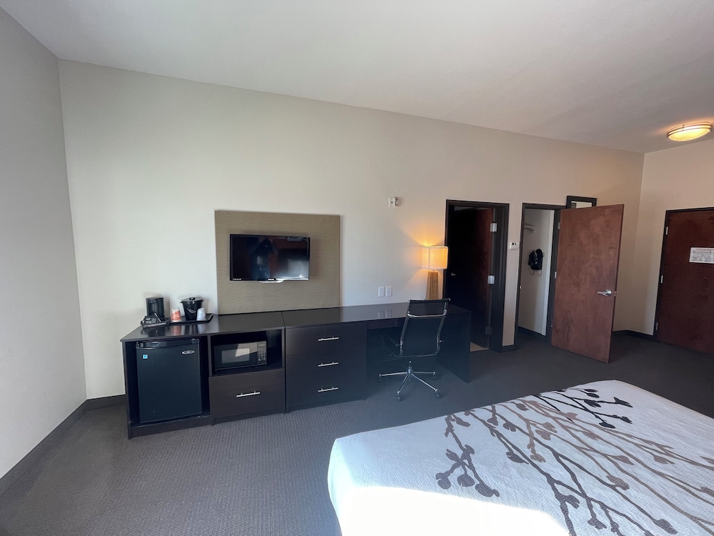 Suite, 1 King Bed With Sofa Bed, Accessible, Non Smoking photo 3
