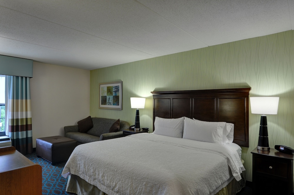 Room, 1 King Bed, Non Smoking (Large) - Photo 3