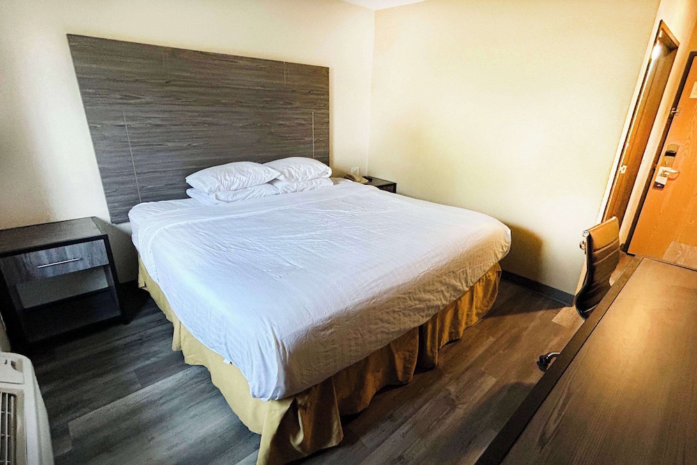1 King Bed, Mobility Accessible Suite, Roll-In Shower, Non-Smoking - Photo 3