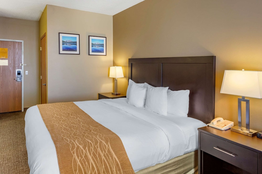 Suite, 1 King Bed with Sofa bed, Non Smoking (Upgrade) - Photo 3