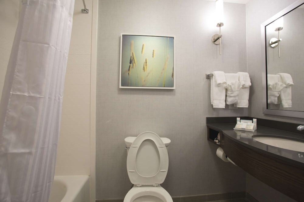 Hilton Garden Inn Bolingbrook I-55, 写真 7
