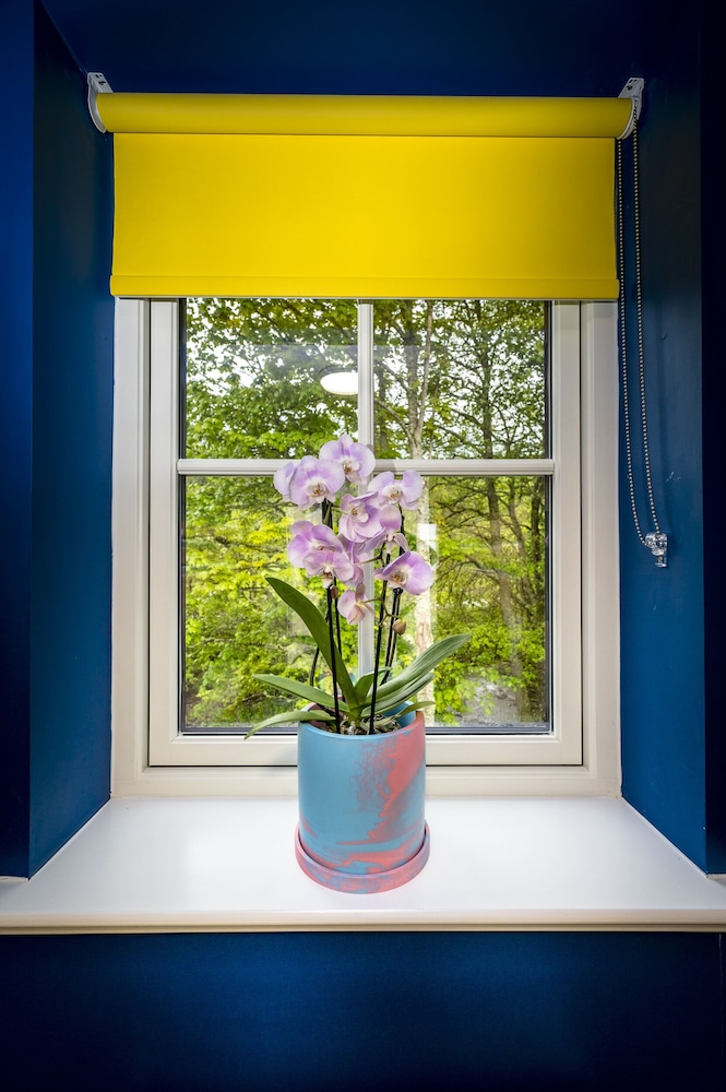 Shared Dormitory (Female Dormitory Bunk) photo 2