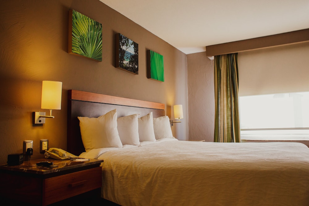 Suite, 1 King Bed, Balcony, City View photo 3