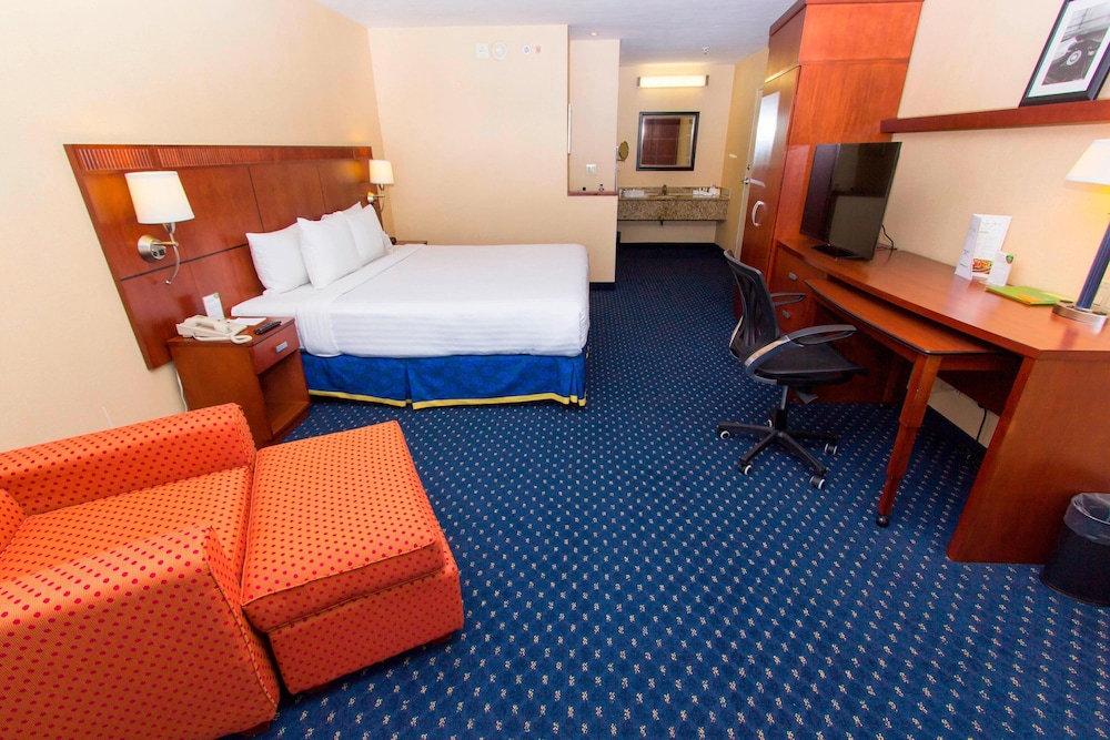 Suite, 1 Bedroom - Photo 16