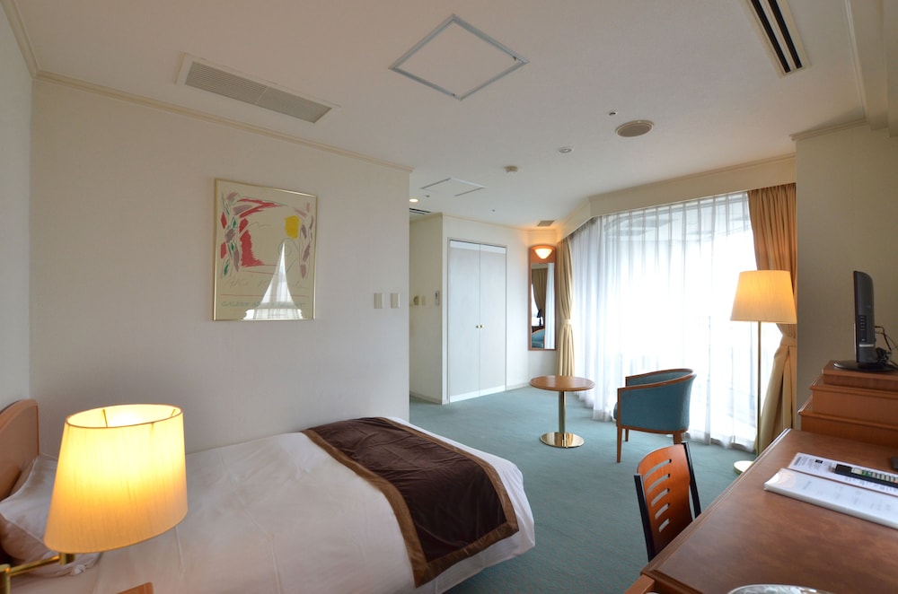 Superior Single Room photo 3