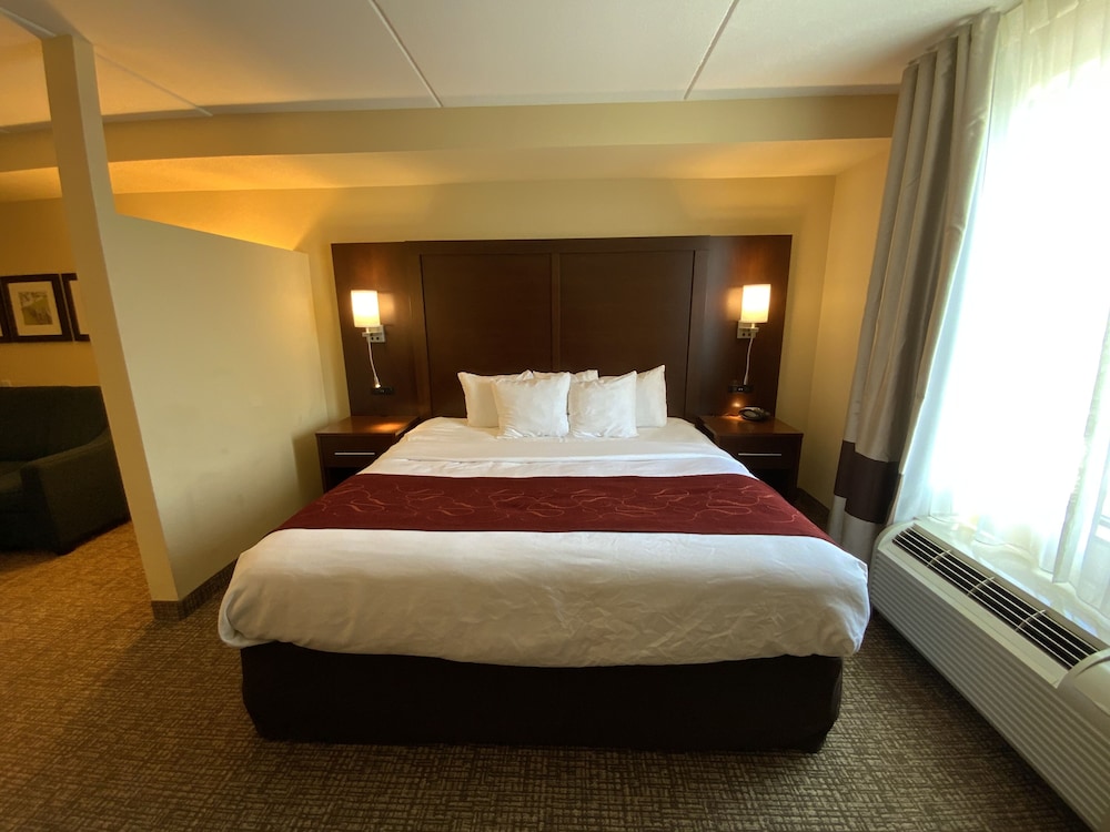 1 King Bed with Double Sized Sofa bed, Accessible, Non Smoking - Photo 9