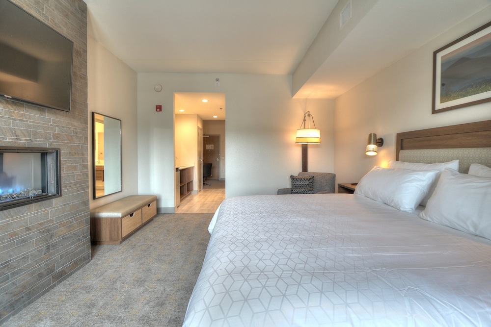 Suite, 1 Bedroom, Balcony (Fireplace, Parkway View) photo 1