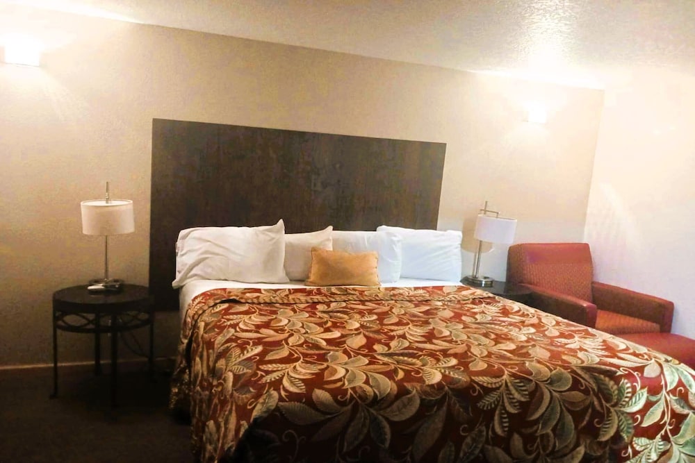 Room, 1 King Bed photo 1