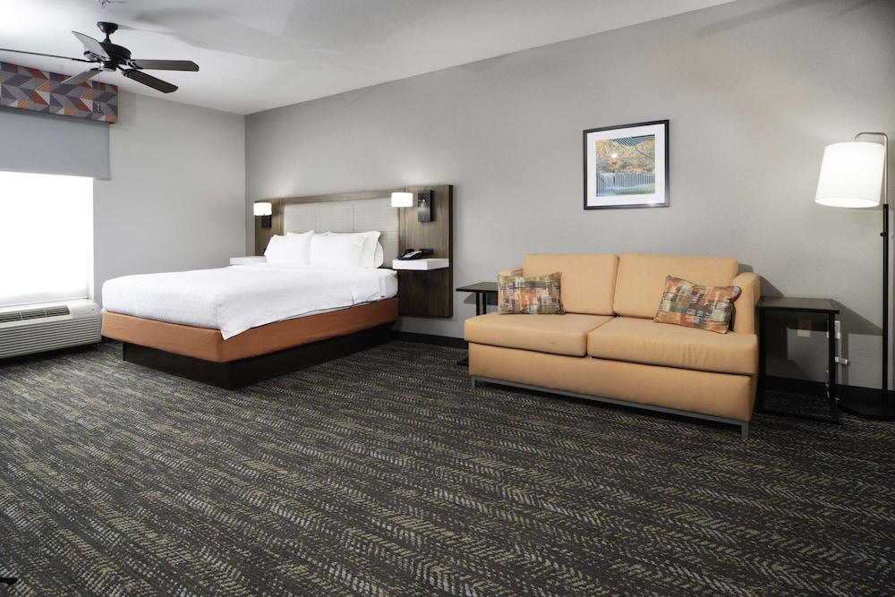 Suite, 1 King Bed, Non Smoking - Photo 1
