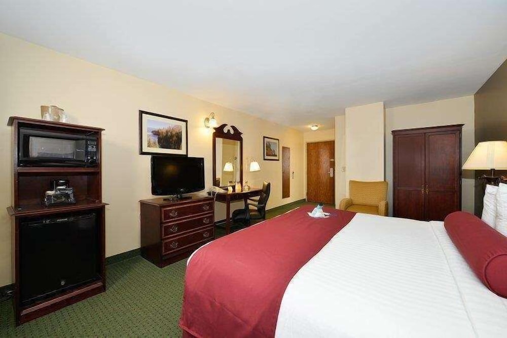 Standard Room, 1 King Bed, Refrigerator & Microwave, City View photo 3