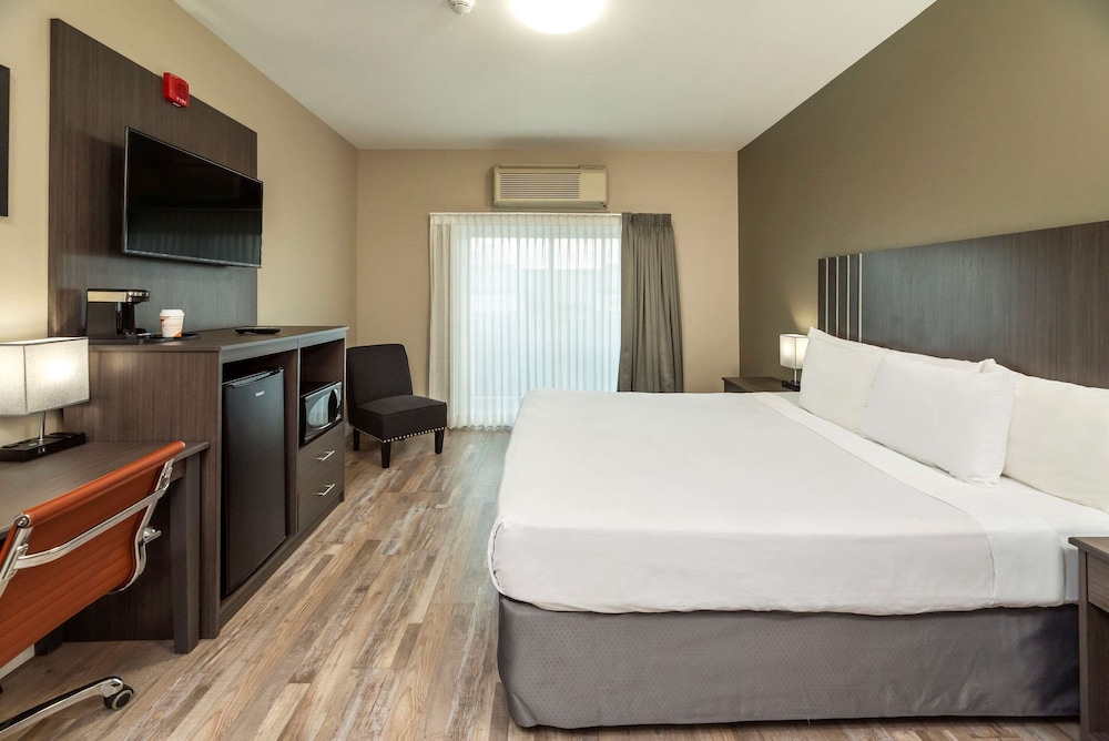 Standard Room, 1 King Bed, Non Smoking