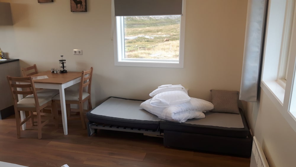Basic Studio, 1 Queen Bed with Sofa bed, Mountain View