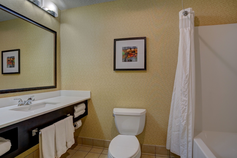 Suite, 1 King Bed, Accessible (Communications, Accessible Tub) - Photo 6