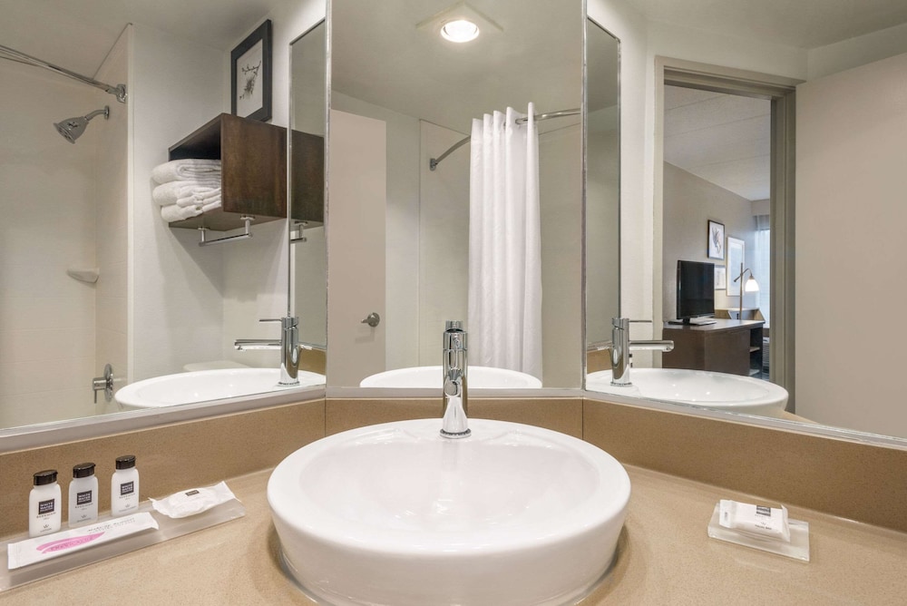 Suite, 1 King Bed, Non Smoking (Extended Stay) photo 2