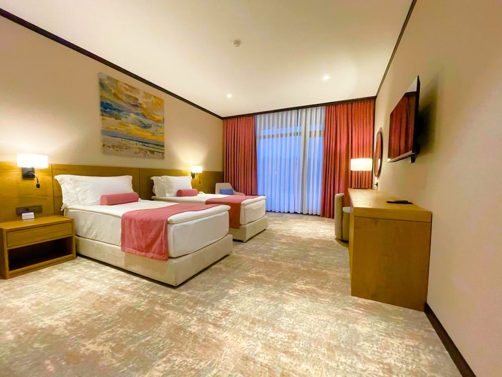 Superior Twin Room, Mountain View photo 2