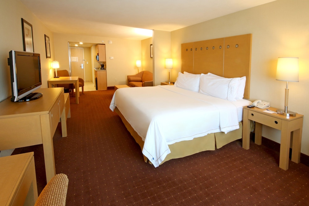 Suite, 1 Bedroom - Photo 1