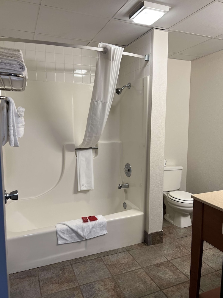 Standard Room, Multiple Beds, Non Smoking, Refrigerator & Microwave - Photo 5