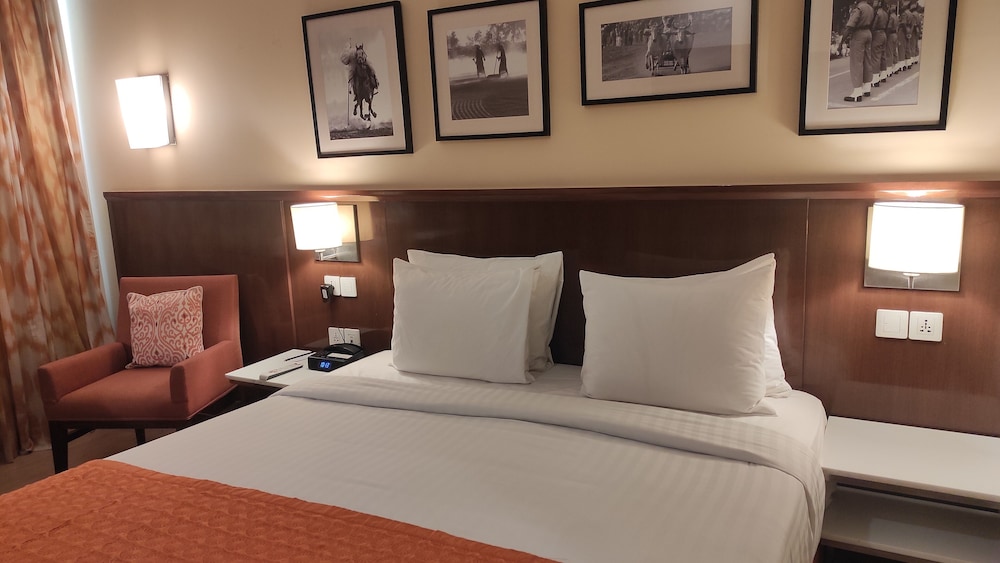 Room, 1 King Bed photo 2