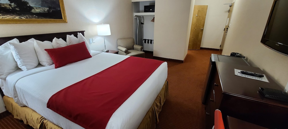 Standard Room, 1 Queen Bed, Accessible, Refrigerator - Photo 4