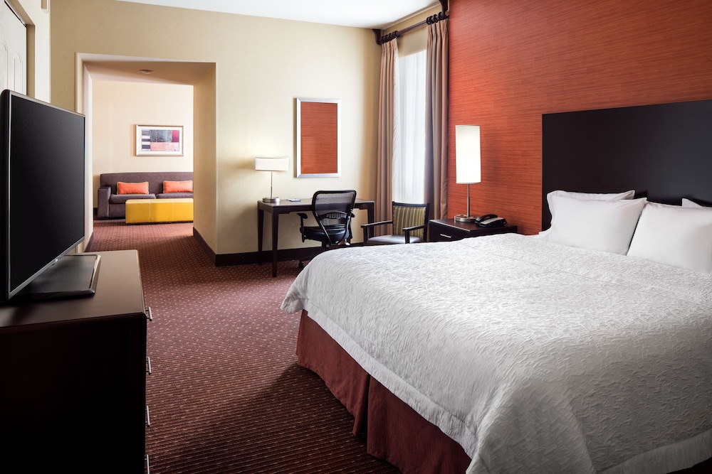 Suite, 1 King Bed - Photo 3