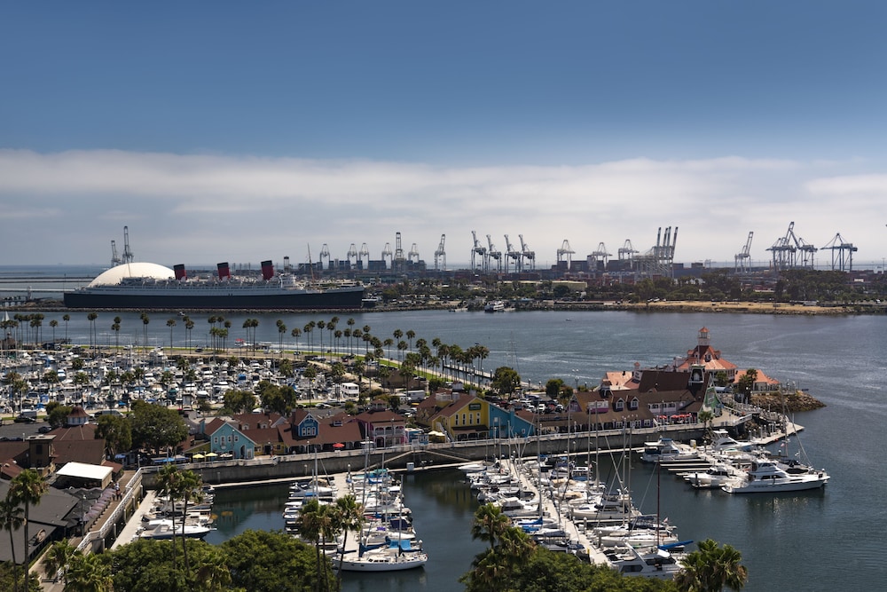 Studio Suite, Harbor View - Photo 5