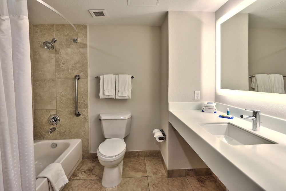 Suite, 1 Bedroom - Photo 7