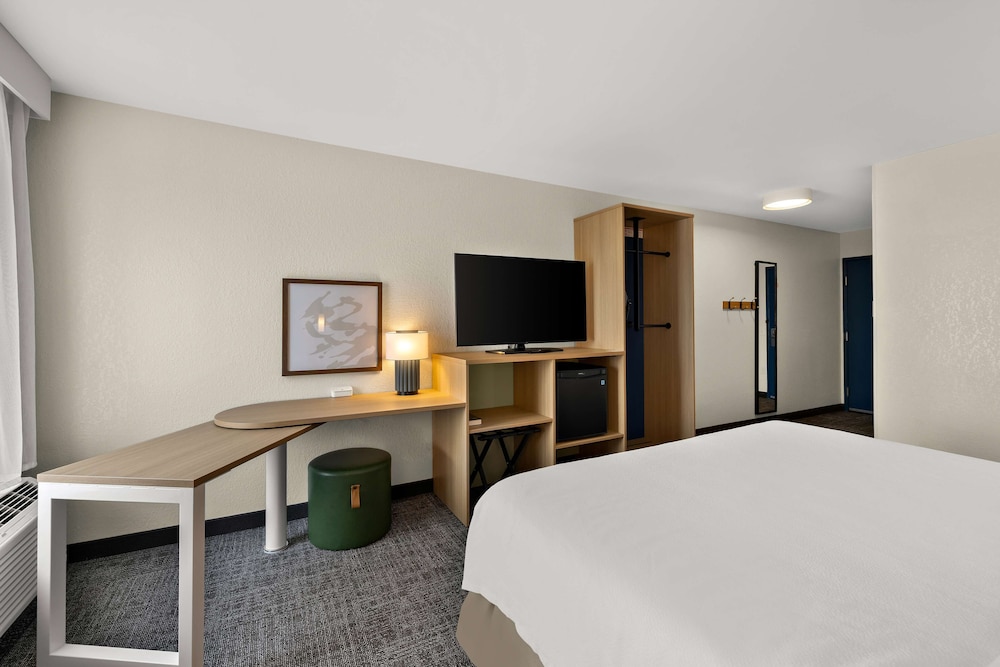 Room, 1 King Bed, Accessible, Bathtub (Mobility & Hearing) - Photo 5