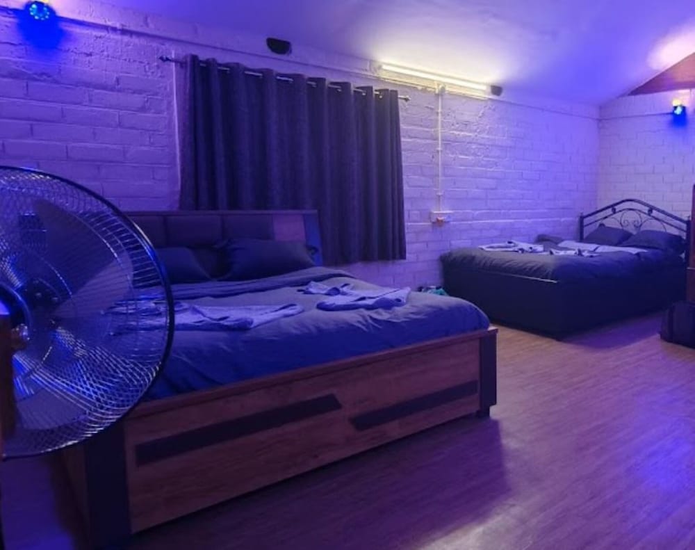 Design Quadruple Room photo 3