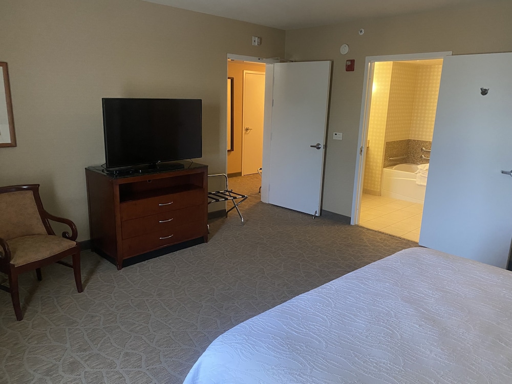Suite, 1 King Bed - Photo 4