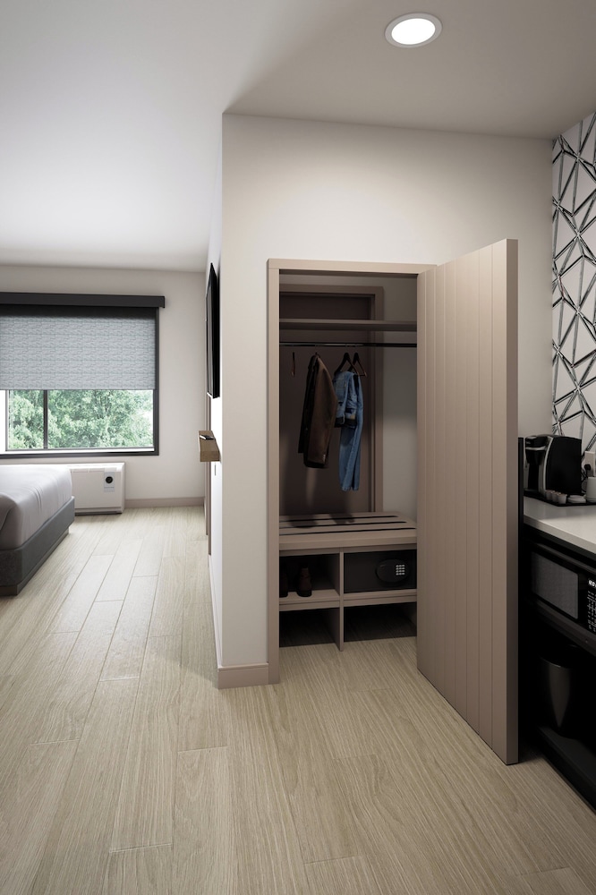 Studio Suite, 1 King Bed, Accessible Bathtub (Mobility) photo 2