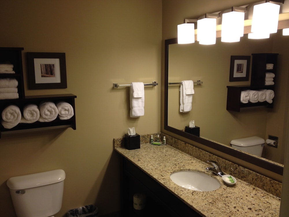 Suite, 1 King Bed photo 3