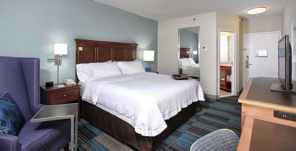 Room, 1 King Bed photo 3