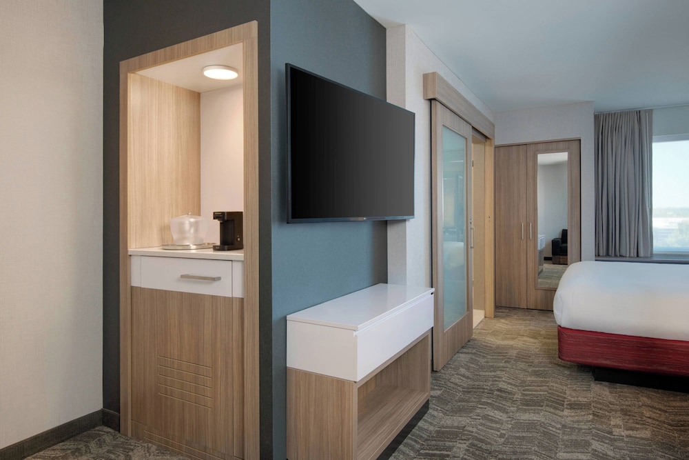 Suite, 1 King Bed - Photo 3