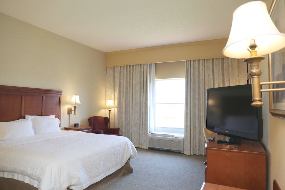 Room, 1 King Bed, Accessible photo 2