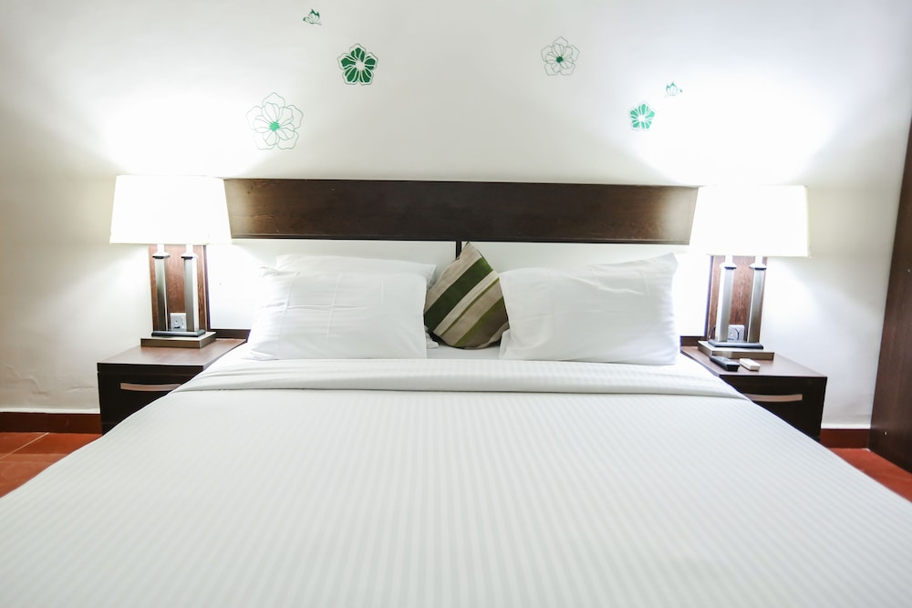 Deluxe Double Room, 1 King Bed photo 1
