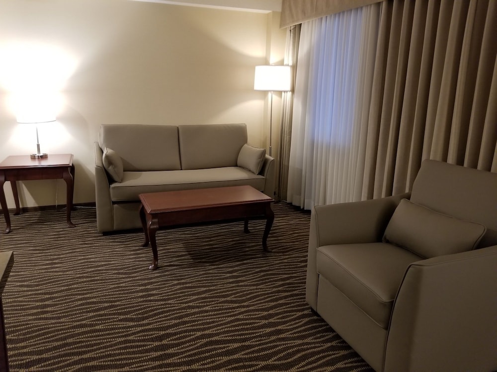 Suite, 1 King Bed with Sofa bed, Balcony - Photo 2