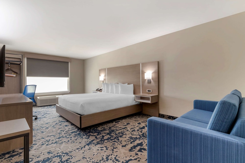 Room, 1 King Bed, Accessible, Non Smoking (Roll-in shower) - Photo 12
