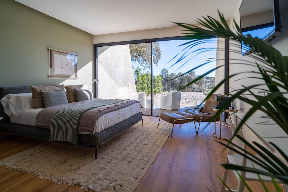 Comfort Suite