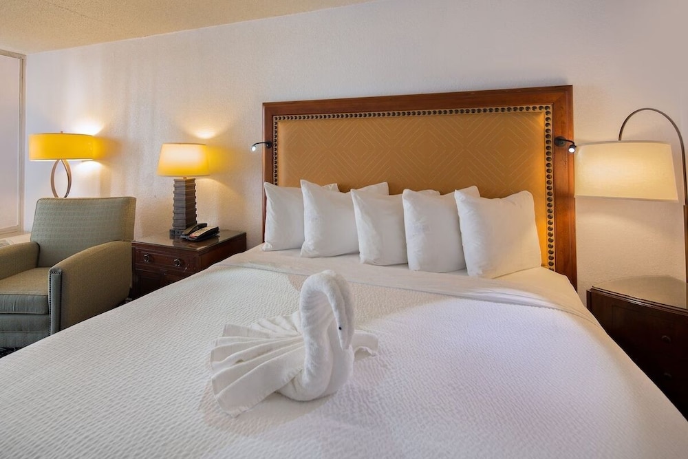 Basic Room - Photo 1