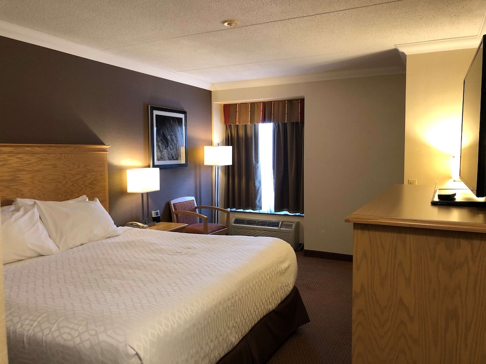 Standard Room, 1 King Bed, Non Smoking photo 3