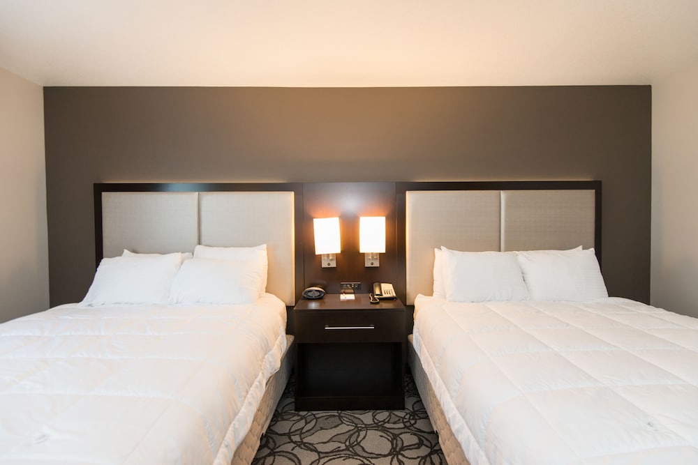 Room, City View (Queen) photo 1