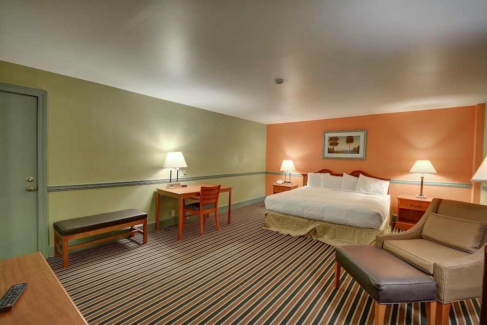 Standard Room, 1 King Bed photo 1