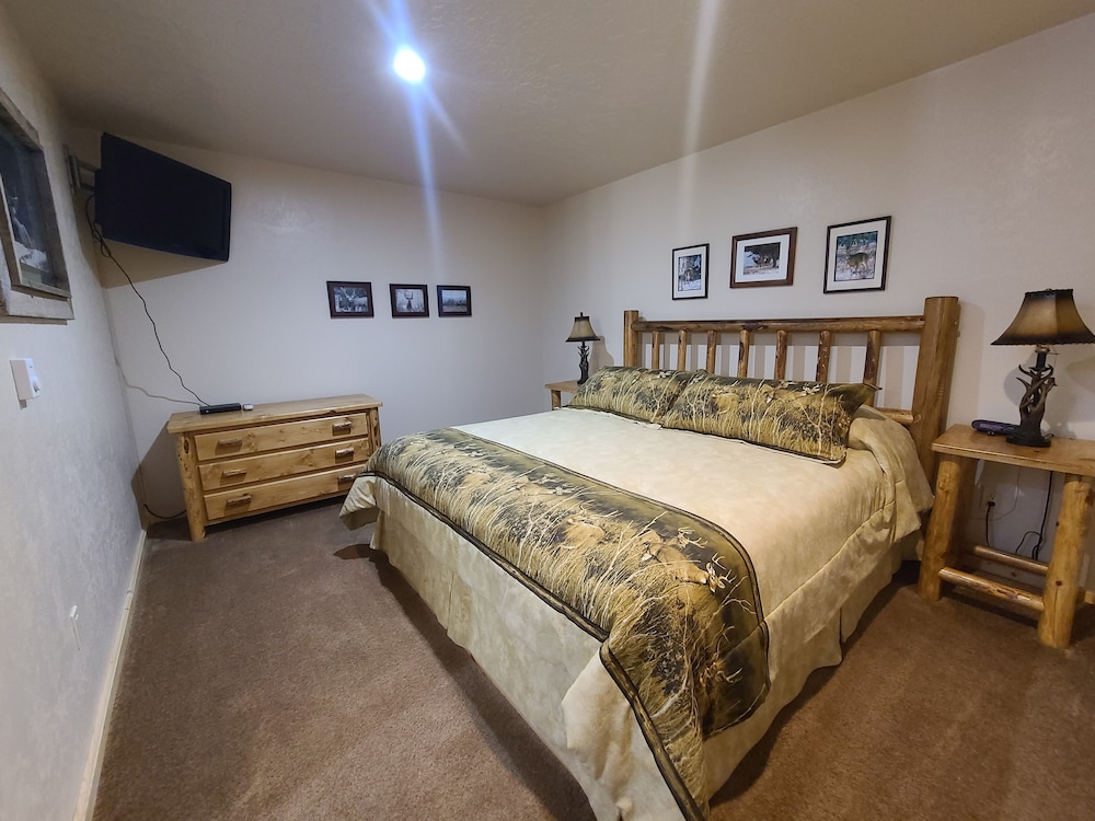 Room, 1 King Bed with Sofa bed