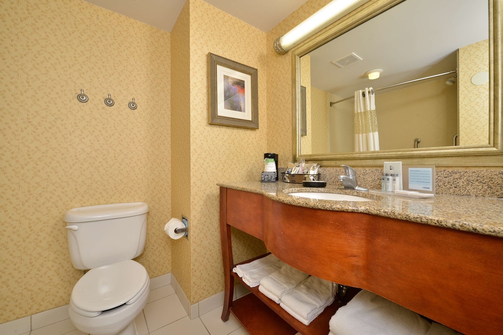 Suite, 1 King Bed, Non Smoking - Photo 3
