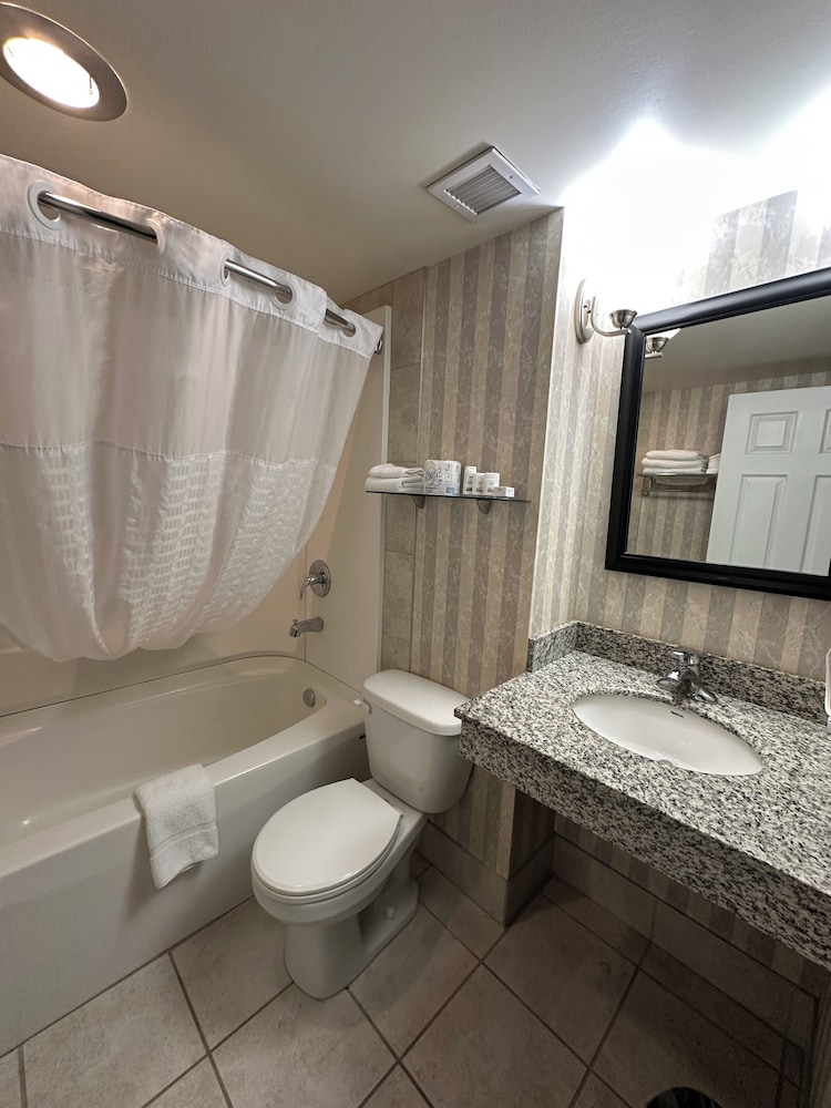 Suite, 1 King Bed, Non Smoking - Photo 9