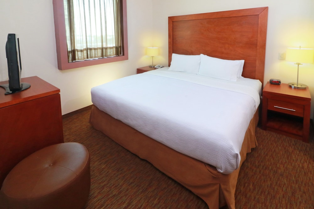 Studio Suite, 1 King Bed, Accessible, Kitchen - Photo 3