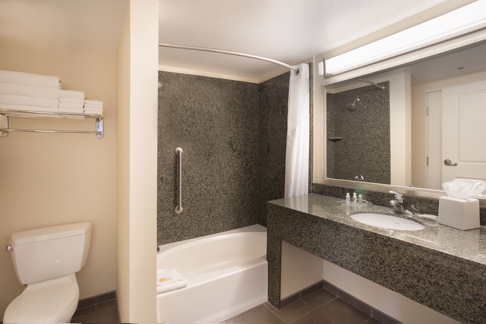 Suite, 1 Bedroom photo 3
