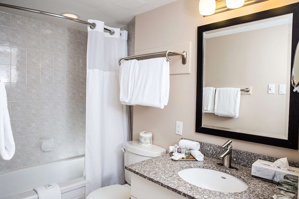 Studio Suite, 1 Queen Bed with Sofa bed, Kitchenette (Premium Studio Full Kitchen Queen) photo 3