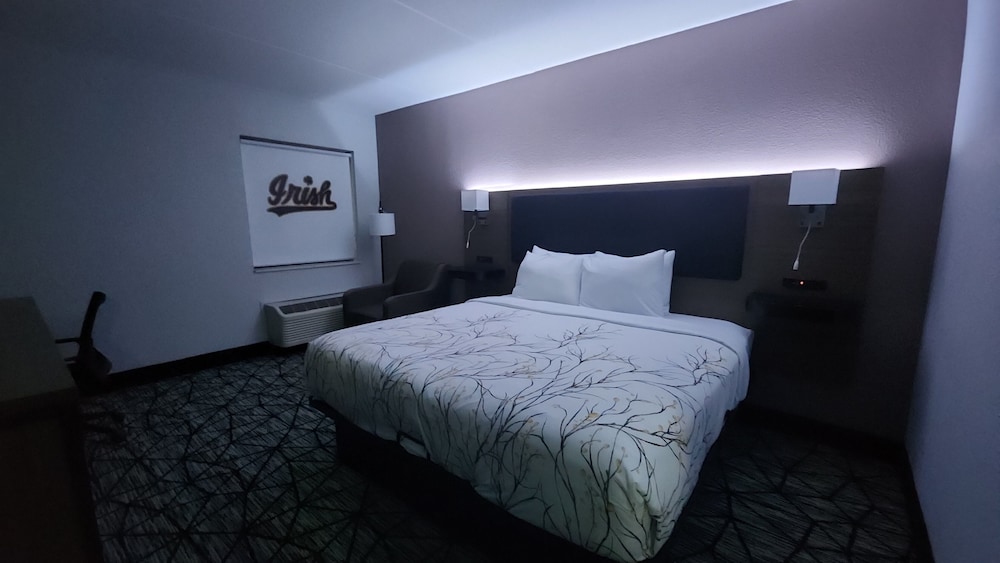 Room, 1 King Bed, Non Smoking - Photo 2