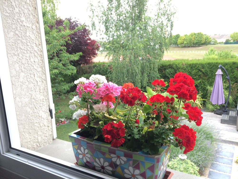 Family Suite (Mille et une bulles ) photo 2